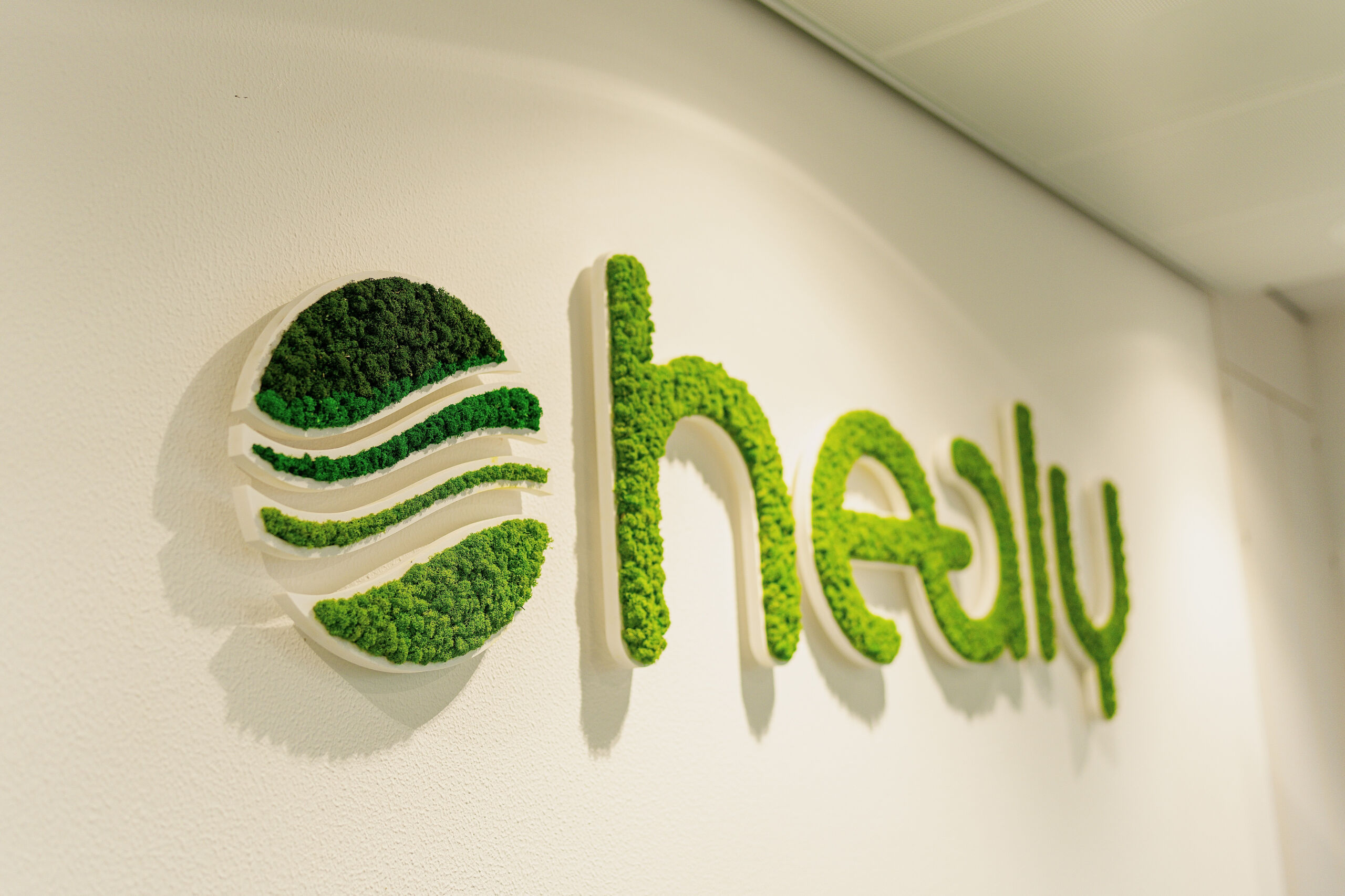 Healy World logo on the wall